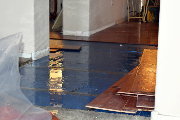 Professional Burst Pipe Cleanup technician working in Woodville, VA