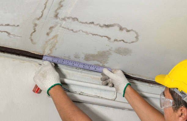 Reliable Burst Pipe Cleanup contractor in Woodville, VA by Water Damage Irwin